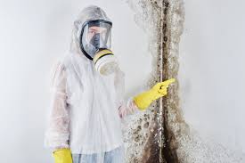 Forensic Mold Investigation in Murfreesboro, TN